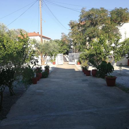 Sunny Cozy House With Grand Courtyard Daire Leonídion Dış mekan fotoğraf