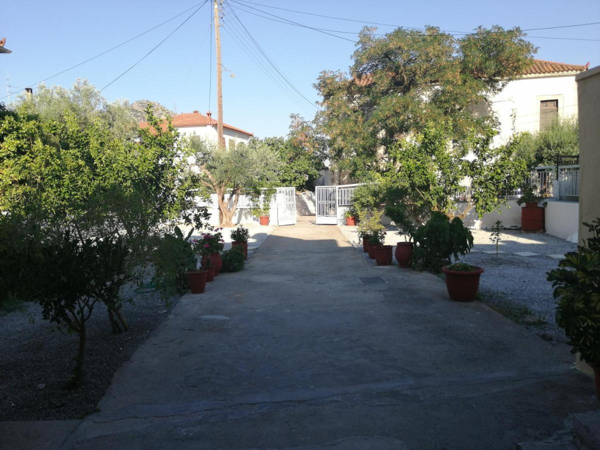 Sunny Cozy House With Grand Courtyard Daire Leonídion Dış mekan fotoğraf